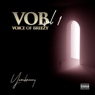 Voice of Breezy-Vol1