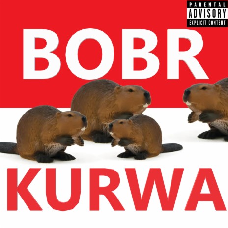 Bobr Kurwa | Boomplay Music