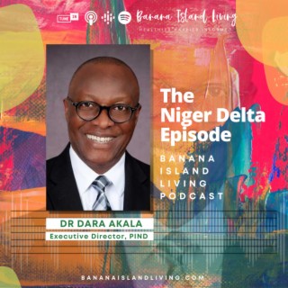 The Niger Delta Episode