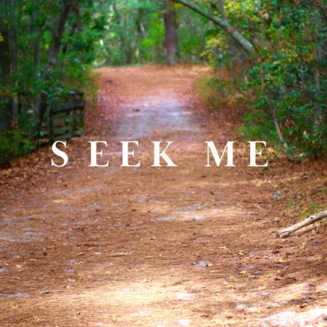 Seek Me | Boomplay Music