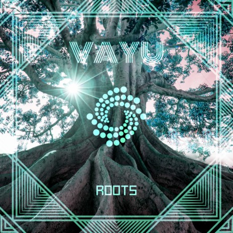 Roots (Original Mix) | Boomplay Music