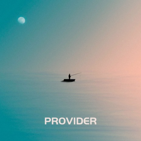 Provider (Extended Version)