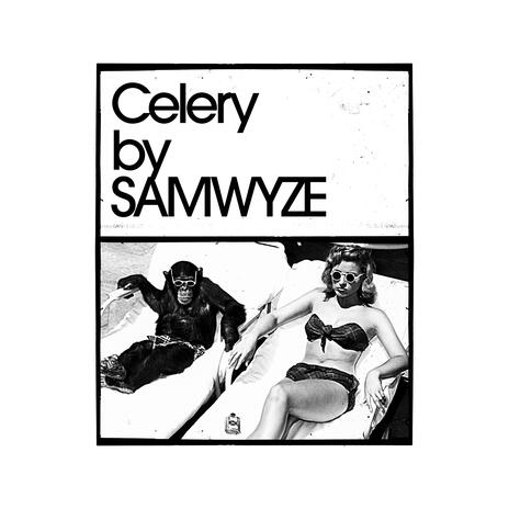 celery | Boomplay Music