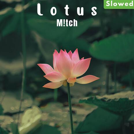 Lotus (Slowed Version) | Boomplay Music