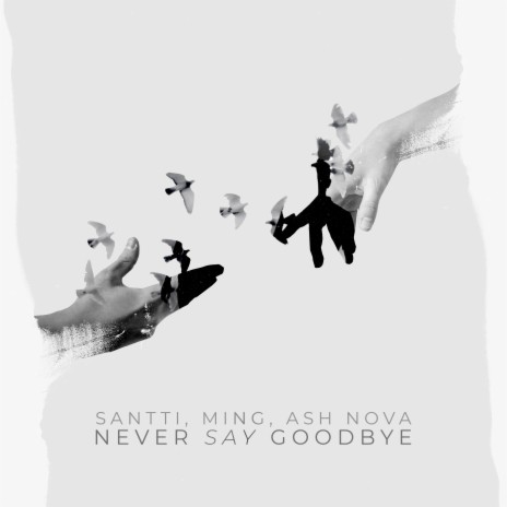 Never Say Goodbye ft. MING & Ash Nova | Boomplay Music