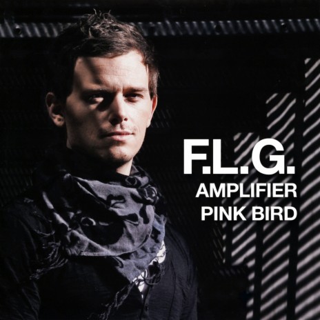 Pink Bird | Boomplay Music