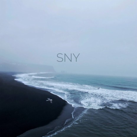 Sny ft. Nwish | Boomplay Music