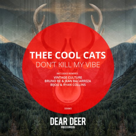 Don't Kill My Vibe (Vintage Culture Remix) | Boomplay Music