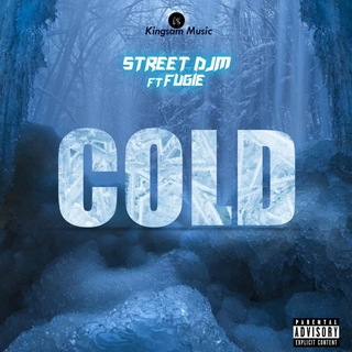 COLD ft. Fugie lyrics | Boomplay Music