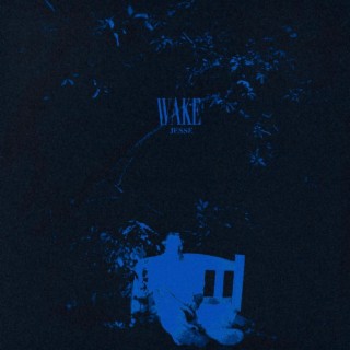 Wake lyrics | Boomplay Music