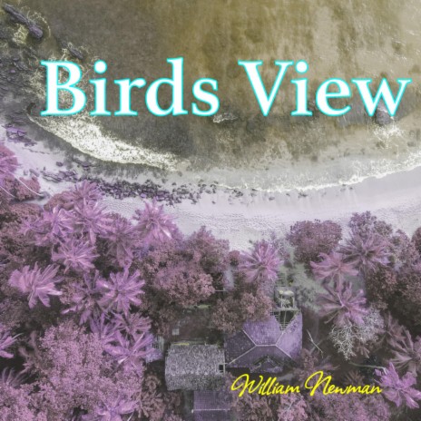 Birds View | Boomplay Music