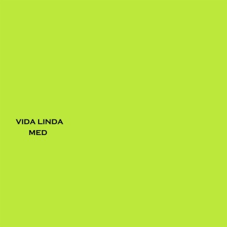 Vida Linda | Boomplay Music