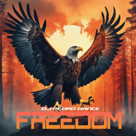 Freedom | Boomplay Music