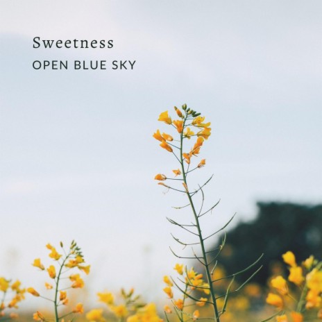 Sweetness (Violin Version)