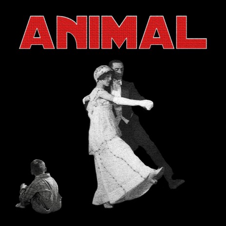 ANIMAL | Boomplay Music