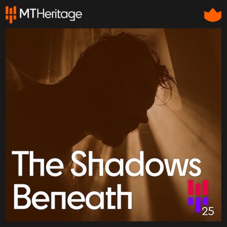 Into the Shadows | Boomplay Music