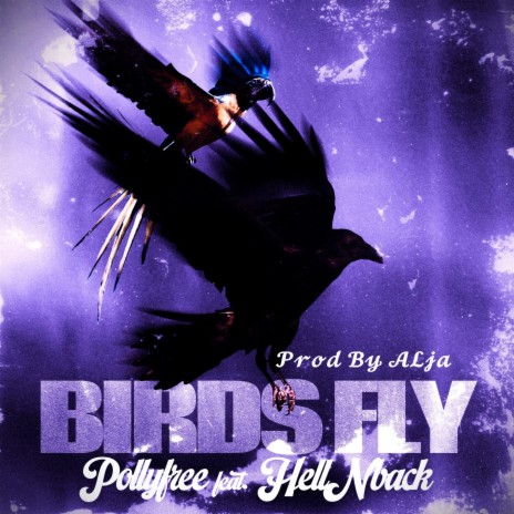 Birds Fly ft. HellNback | Boomplay Music