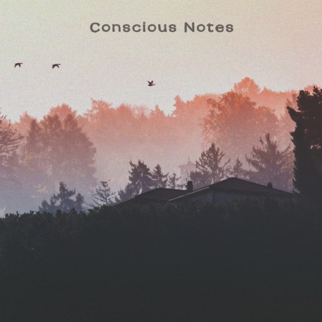 Conscious Notes | Boomplay Music