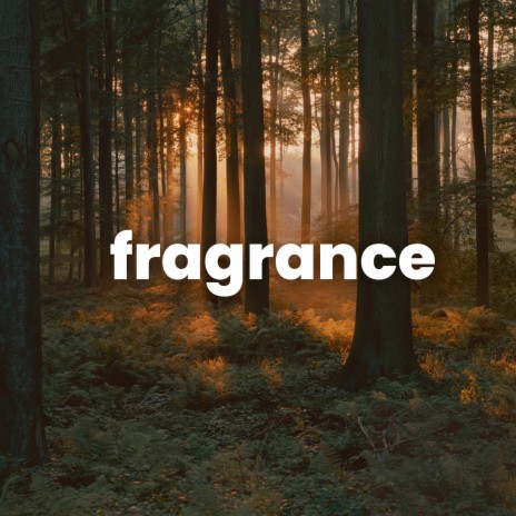 fragrance | Boomplay Music