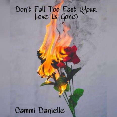 Don't Fall Too Fast (Your Love Is Gone)