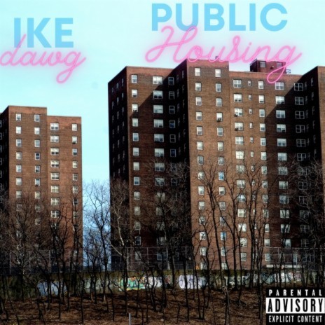 Public Housing | Boomplay Music