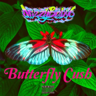 Butterfly Cush