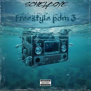 Freestyle pdm 3