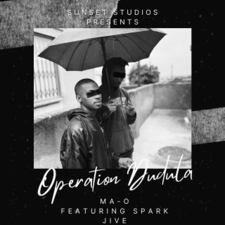 Operation Dudula ft. Spark Jive lyrics | Boomplay Music