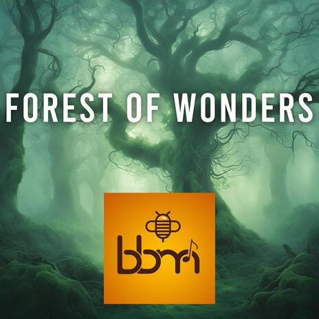 Forest of Wonders | Boomplay Music