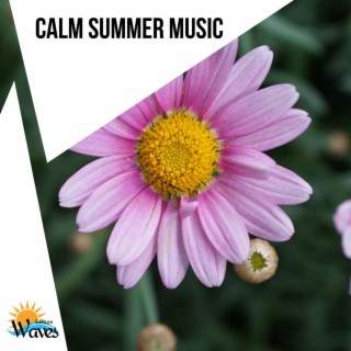 Calm Summer Music
