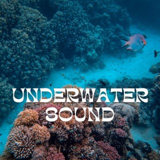 Underwater Sound: Meditation Time