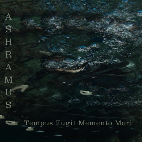 Tempus Fugit Memento Mori | Boomplay Music