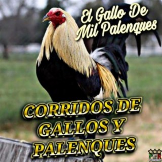 CORRIDOS DE GALLOS Y PALENQUES