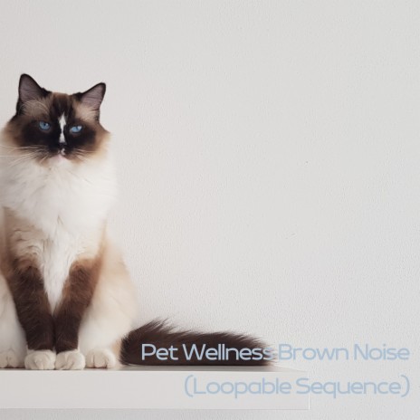 Pet-Friendly Ambient Brown Noise (Loopable Sequence) | Boomplay Music