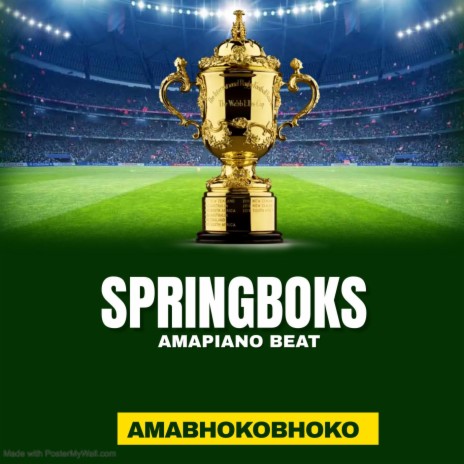 SPRINGBOKS AMABHOKOBHOKO(Amapiano Beat)