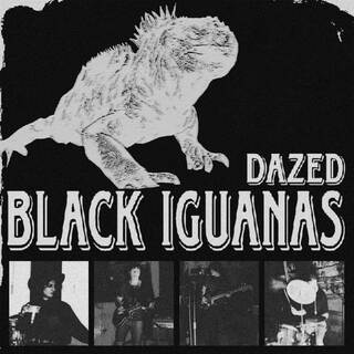 Black Iguanas