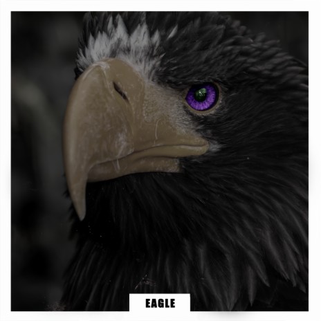 Eagle | Boomplay Music