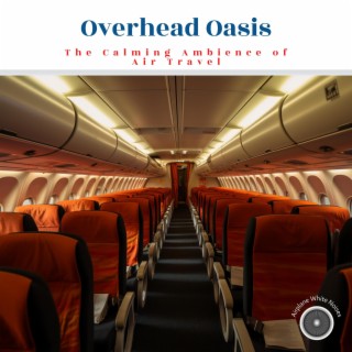 Overhead Oasis: The Calming Ambience of Air Travel