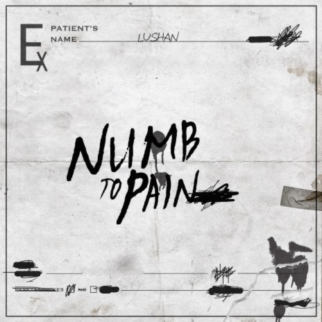 Numb To Pain | Boomplay Music