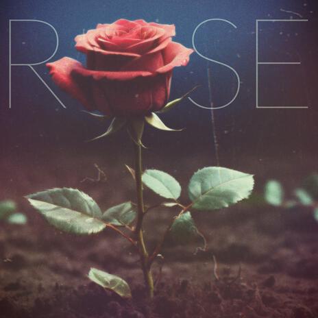 ROSE | Boomplay Music