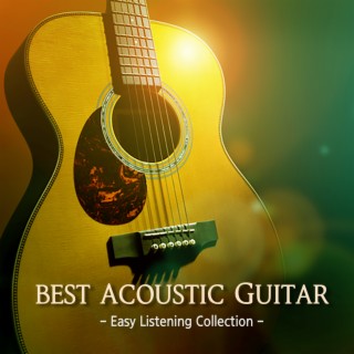 Best Acoustic Guitar Vol.2