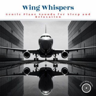 Wing Whispers: Gentle Plane Sounds for Sleep and Relaxation