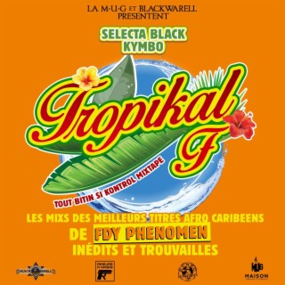 Tropikal F : Tout Bitin Si Kontrol (Selecta Black Kymbo Edit)