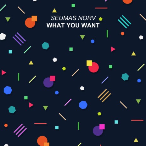 What You Want (Radio Edit) | Boomplay Music