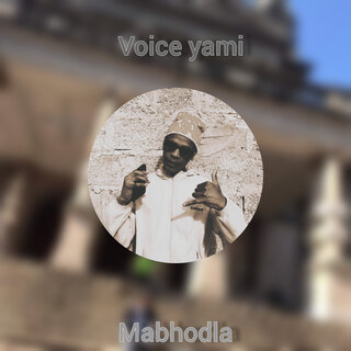 Voice yam