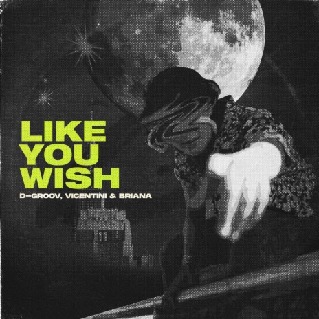 Like You Wish ft. Vicentini & Briana | Boomplay Music