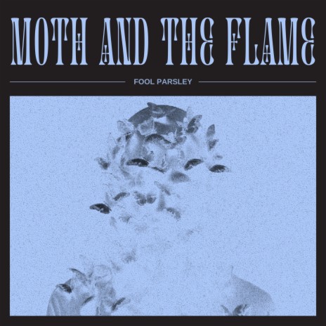 Moth and the Flame | Boomplay Music