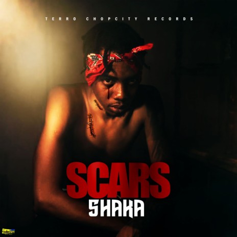 Scars | Boomplay Music