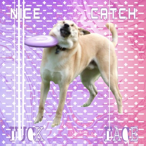 Nice Catch Fuckface (Acoustic Version) ft. Anemoia