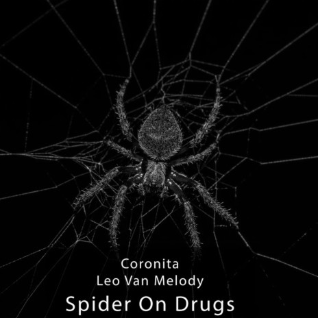 Spiders On Drugs ft. Leo Van Melody | Boomplay Music